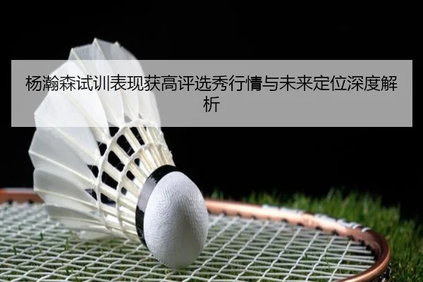 杨瀚森试训表现获高评选秀行情与未来定位深度解析