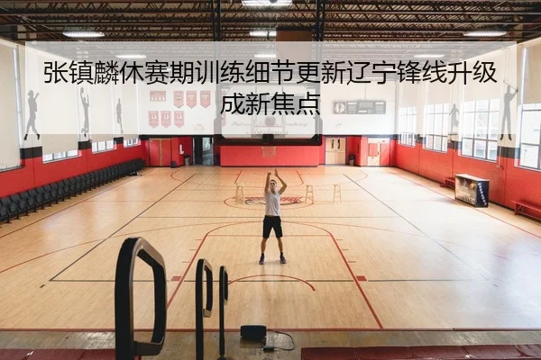张镇麟休赛期训练细节更新辽宁锋线升级成新焦点